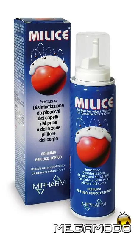 Riaprono le scuole, ritorna puntuale l’emergenza pidocchi