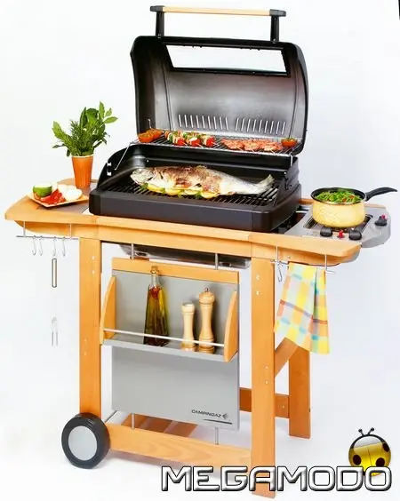 RBS Woody Grande Deluxe 2006, efficienza ed eleganza in un unico BBQ