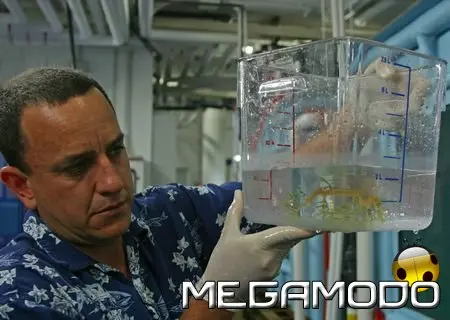 A Oltremare acquarista per 1 giorno