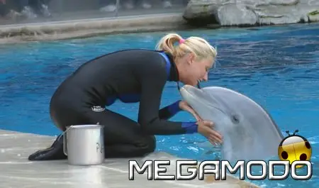 Addestratore per un giorno