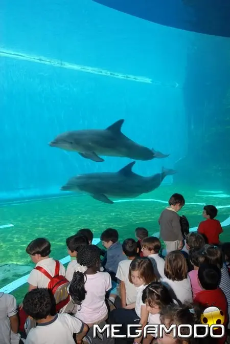 Linda e Mateo, le foto dei due nuovi delfini