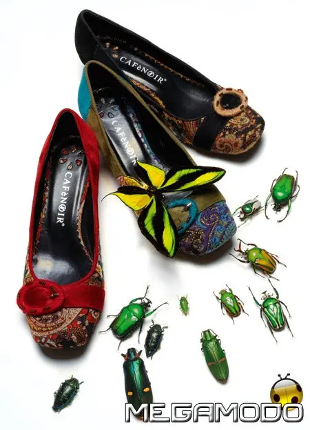 Collezione CAFèNOIR autunno-inverno 06/07