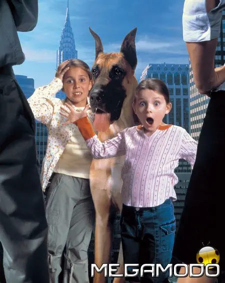 Chestnut, nelle sale il 10 novembre