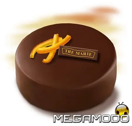 Torta gelato Panna e Caffè e Cioccolato e Arancia