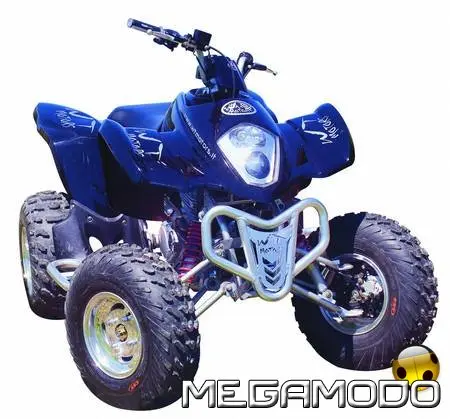 KOBRA WT 300 è il vero sportivo della gamma ATV