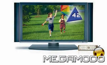 Monitor al plasma NEC serie XM, XR