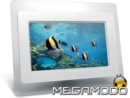 Zelig Photo Player, nuova ed elegante cornice digitale