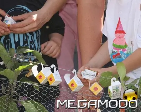 Oltremare tra Coccinelle e Farfalle