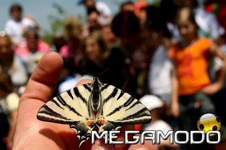 Torna a Oltremare Sulle Ali Della Natura