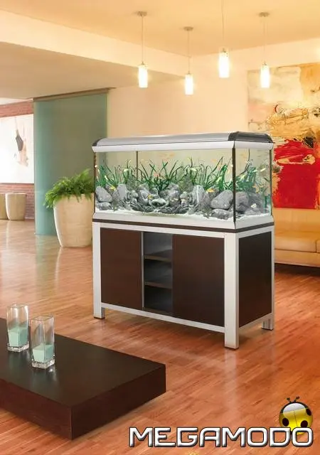 Nuovo sito Star Aquarium di Ferplast