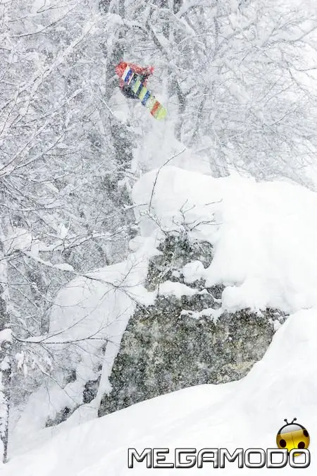 Be The One! Con Rip Curl Now Searching!