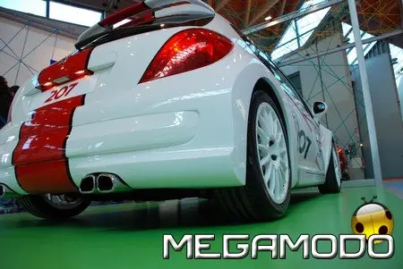 Peugeot 207 Le Mans Series