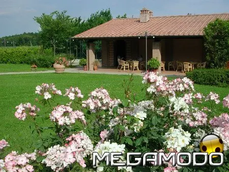 Fattoria di Petrognano, la nuova oasi alle porte di Firenze