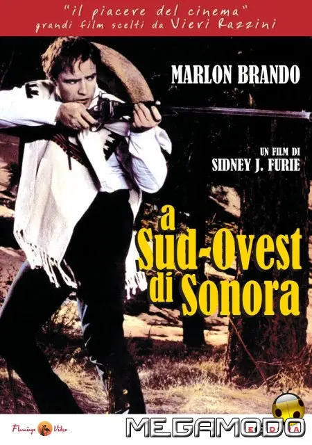 Uscite di luglio, Il Piacere del Cinema