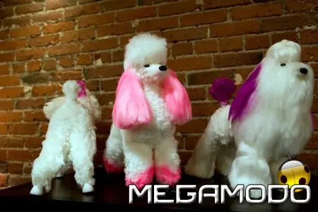 Parrucchieri per cani su Animal Planet