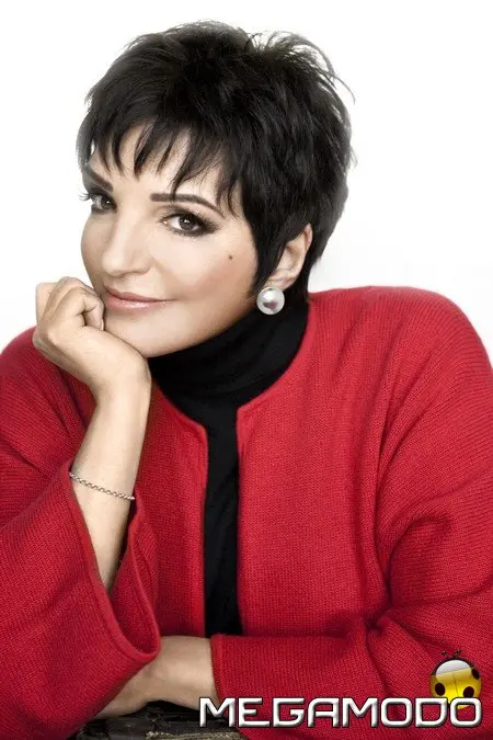 Liza Minnelli, Live Tour 2008