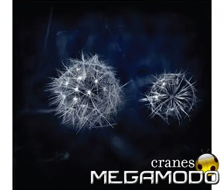 The Cranes in concerto in Italia