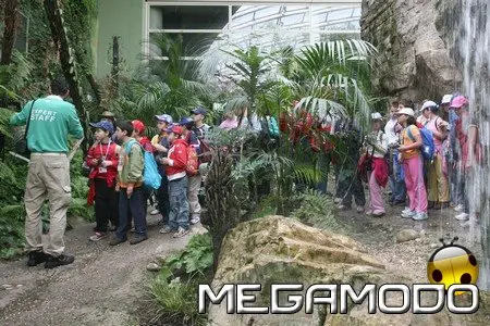 Darwin, Orchidee in voluzione