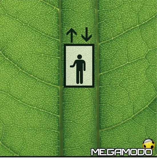 Sele Serie Tree, l'ascensore che rispetta l'ambientale