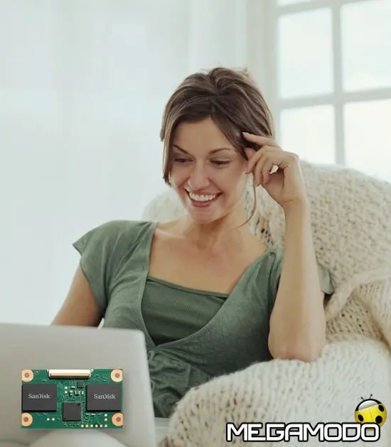 SanDisk PSSD nei nuovi Sony Vaio X