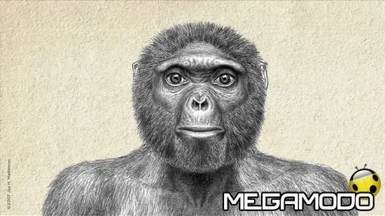 Discovery Channel, ritorna Ardi