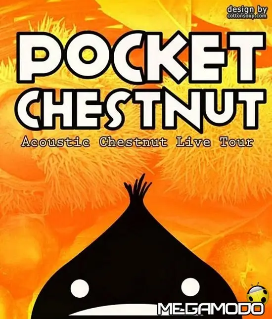 Pocket Chestnut, rock da camera