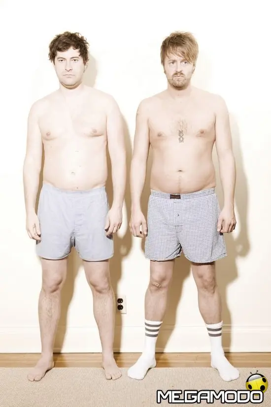 Humpday, storie di amicizia e di porno