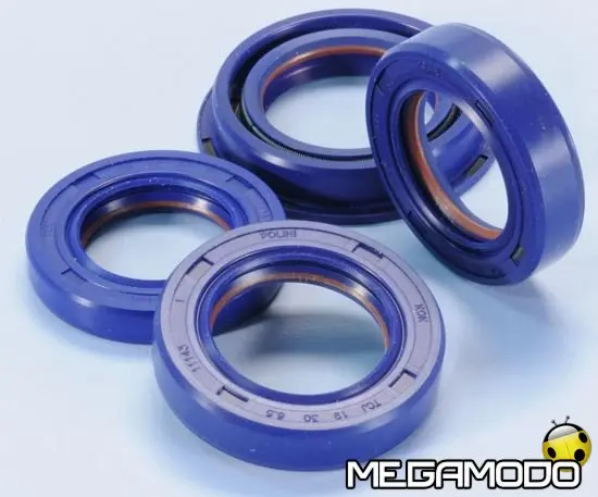 Paraoli Polini in Viton e Teflon, tenuta perfetta