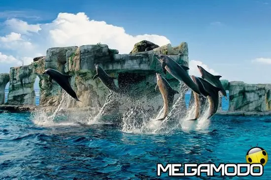 Oltremare, ai nastri di partenza la stagione 2011