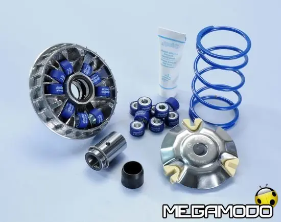 Variatore Polini HI-SPEED 9 rulli per Piaggio e Honda