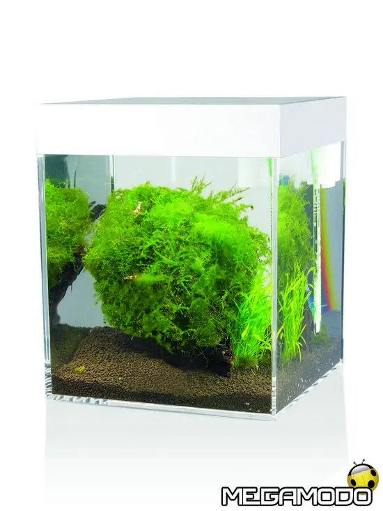 Askoll Pure Aquarium Small, una dose di benessere quotidiano 