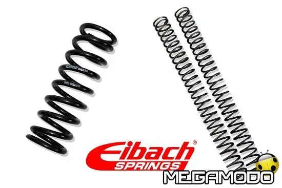 Nuove molle Eibach by Andreani Group