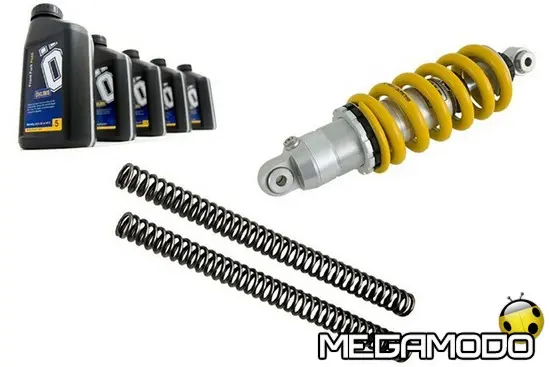 Andreani Öhlins per ER 6N