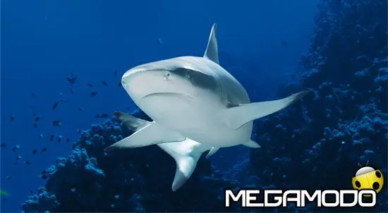 Gardaland Sea Life Aquarium annuncia la "Settimana Europea dello Squalo"