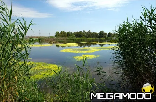 Ford, riduzione del 70% dei rifiuti e del 30% dell'acqua utilizzata