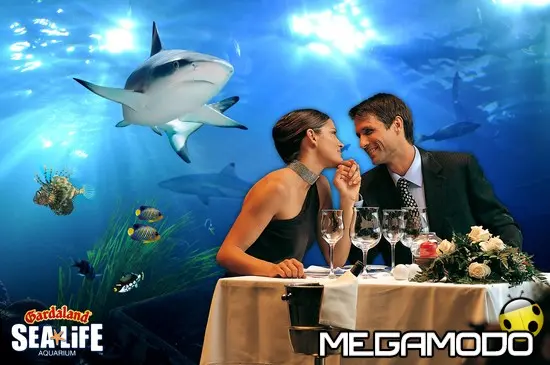 Gardaland SEA LIFE Aquarium, un'asta su eBay per San Valentino