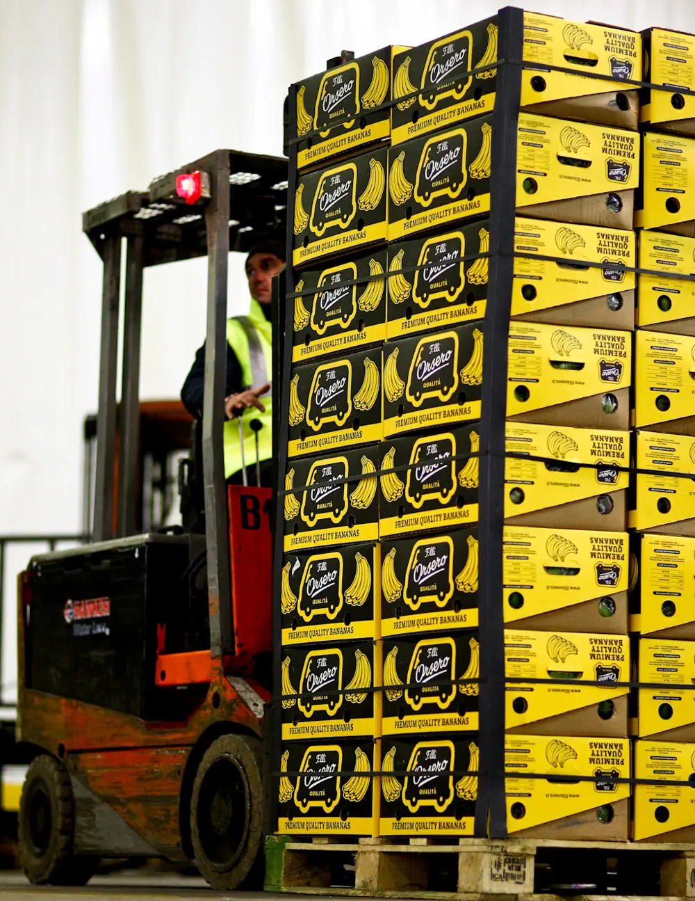 Debutta online il sito dei F.lli Orsero