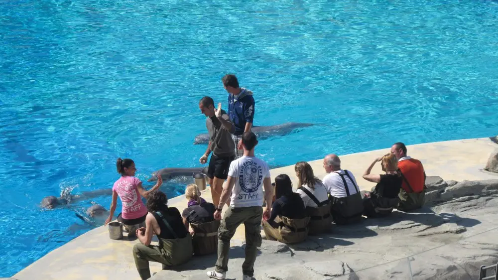 Parco Oltremare di Riccione, al via la stagione 2012 con Pianeta Scienza