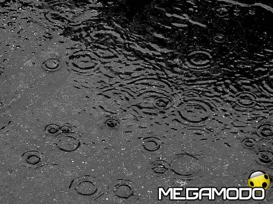 Brusca interruzione della primavera, si torna in inverno