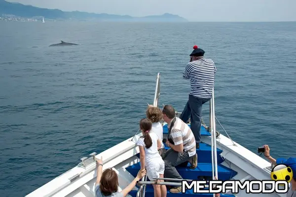 110522 crocieracquario ph merlofotografia 9320