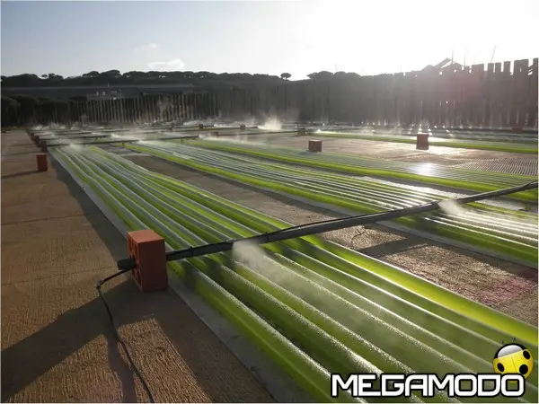 impianto produzione alghe