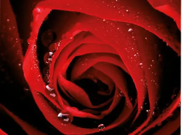 Nuove Cover Cut Collection di VaVeliero, l'iPhone cambia look