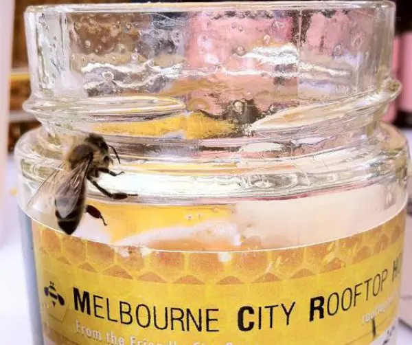Melbourne City Rooftop Honey per la diffusione dell’apicoltura urbana