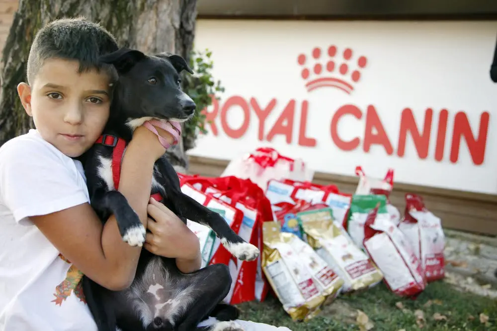 Agility Dog a Minitalia Leolandia