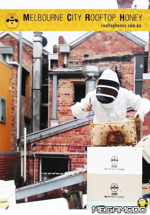 melbourne city rooftop honey apicoltore