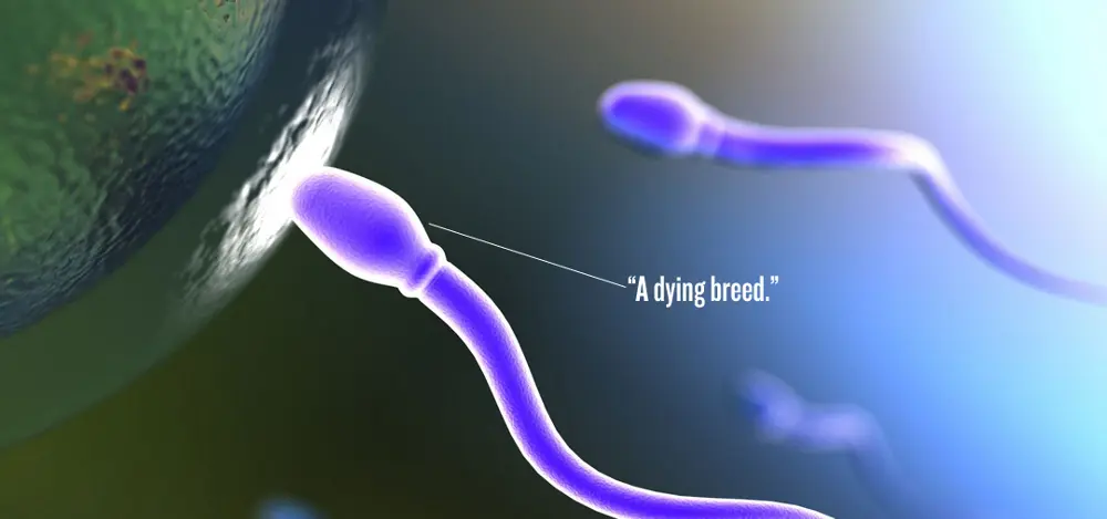 Sesso d'estate, i consigli per non andare in bianco