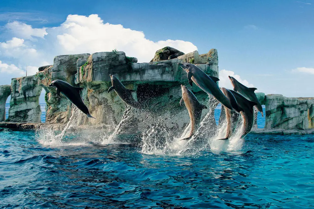 Oltremare, ancora spettacoli e divertimento nei week end di settembre