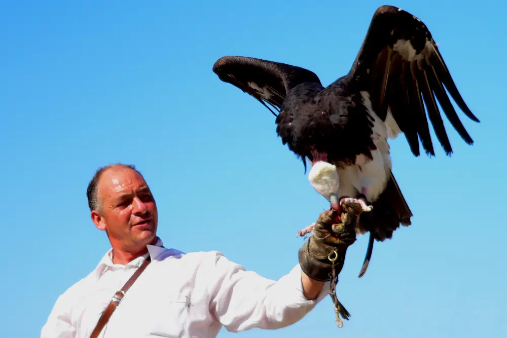 Il Parco Oltremare di Riccione aperto per tutti i week end di ottobre