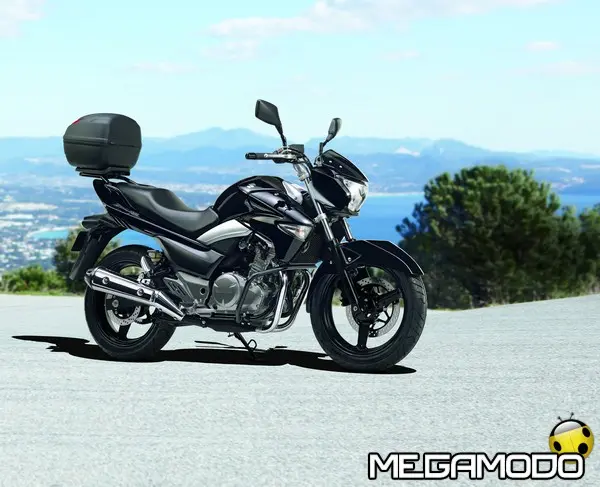 inazuma inazuma accessoriata