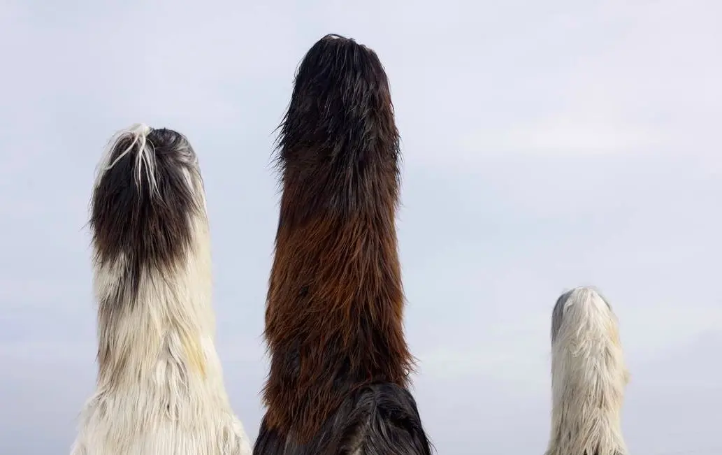 Teho Teardo presenta Music For Wilder Mann  all' Auditorium Parco della Musica